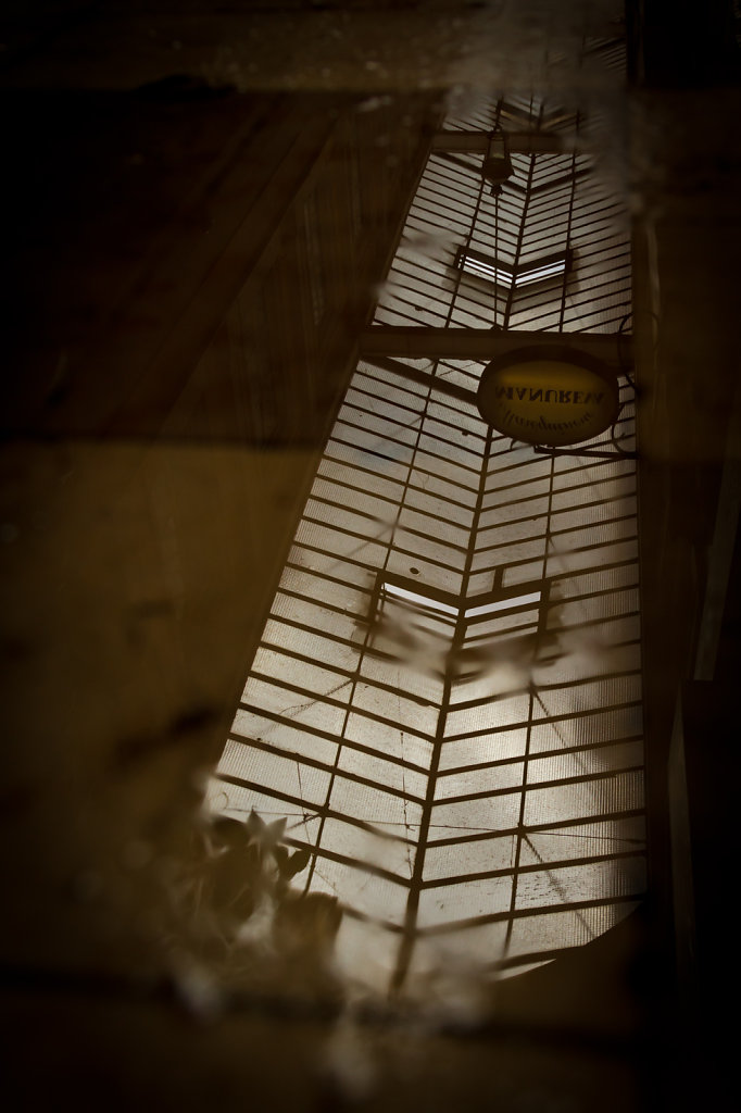 IMG-4839.jpg